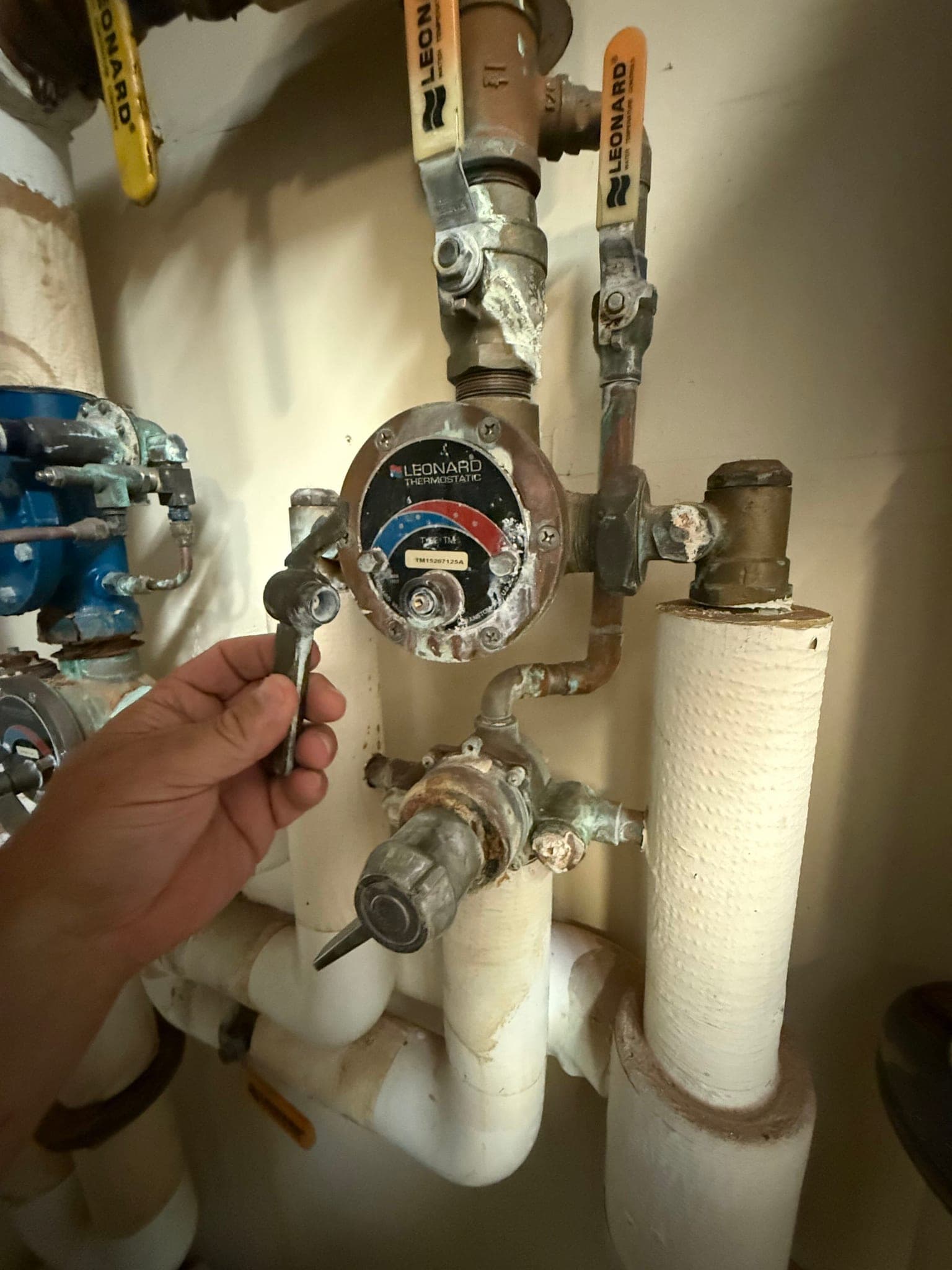 Newman's Plumbing technician servicing a Leonard thermostatic mixing valve on a commercial hot water system in Portsmouth, VA