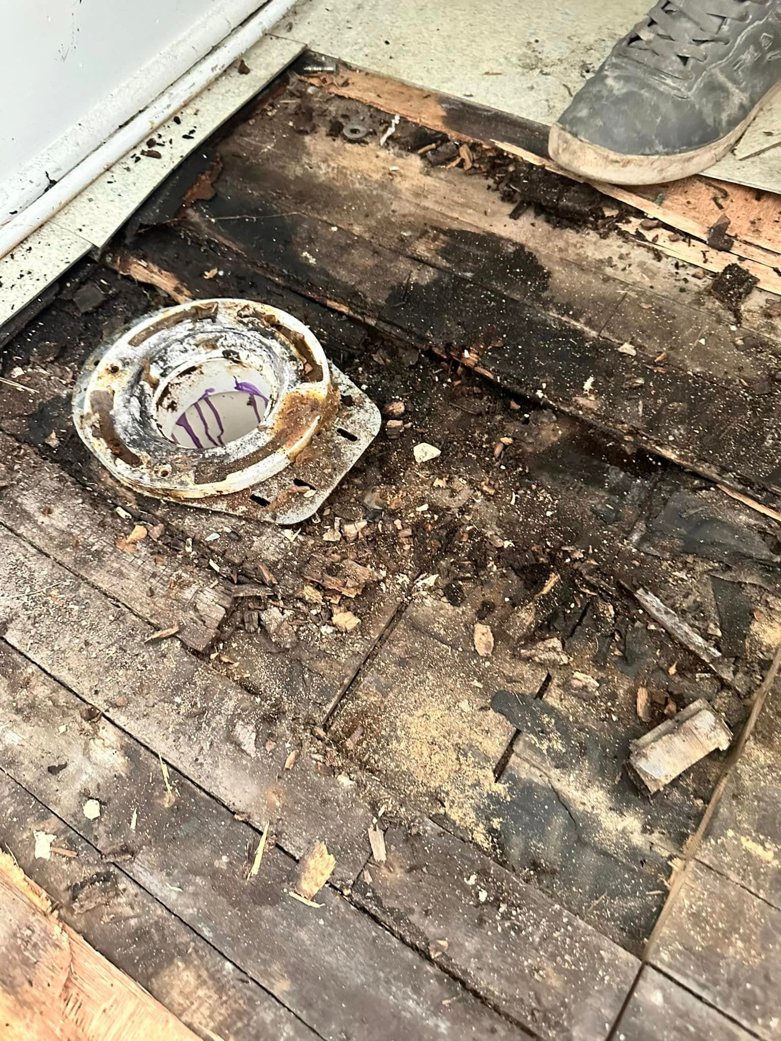 Water damage from an untreated plumbing emergency in a Portsmouth, VA home