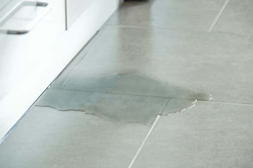 7 Signs of a Hidden Water Leak in Your Portsmouth Home
