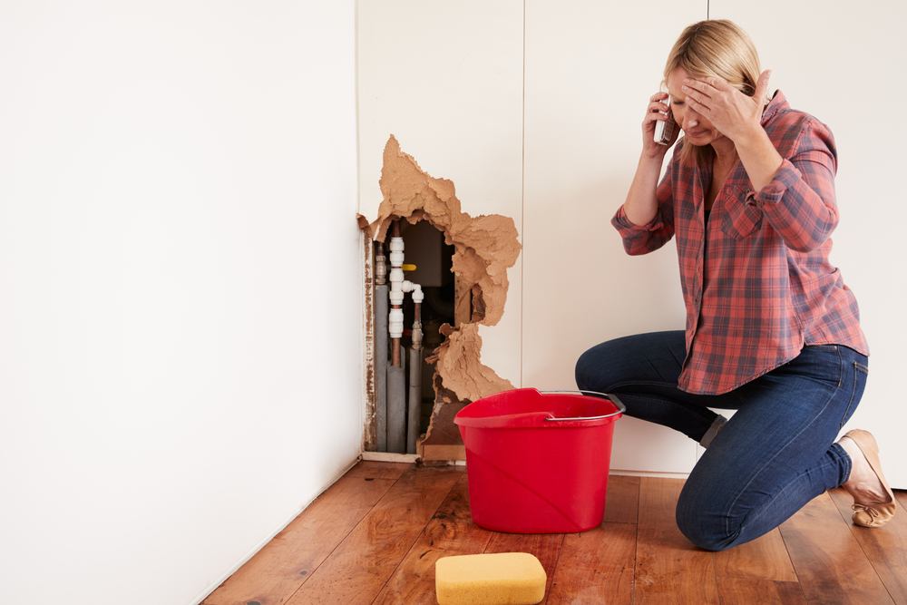how-to-choose-plumber-chesapeake-va
